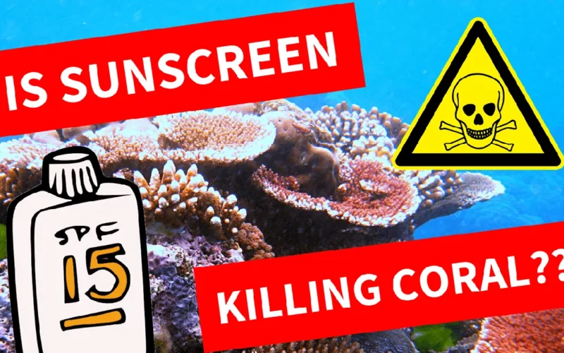 Colorful coral reef ecosystem underwater with healthy marine life